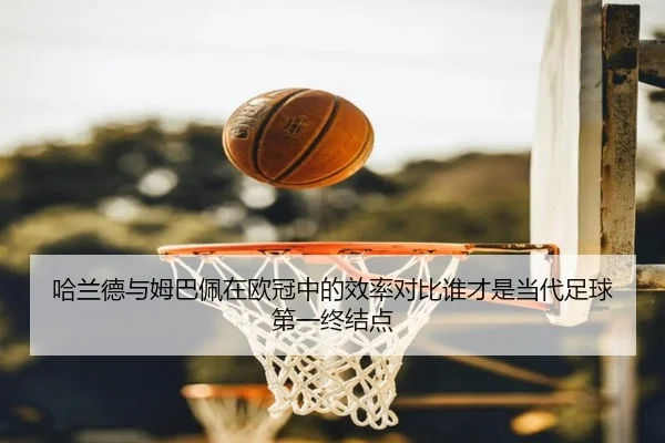 ha-lan-de-yu-mu-ba-pei-zai-ou-guan-zhong-de-xiao-lv-dui-bi-shui-cai-shi-dang-dai-zu-qiu-di-yi-zhong-jie-dian-2-646.jpg